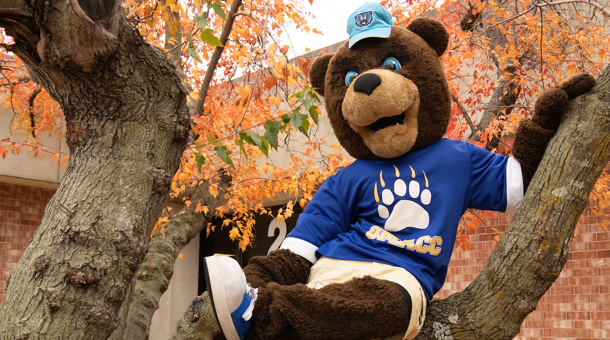 DMACC Fall Classes