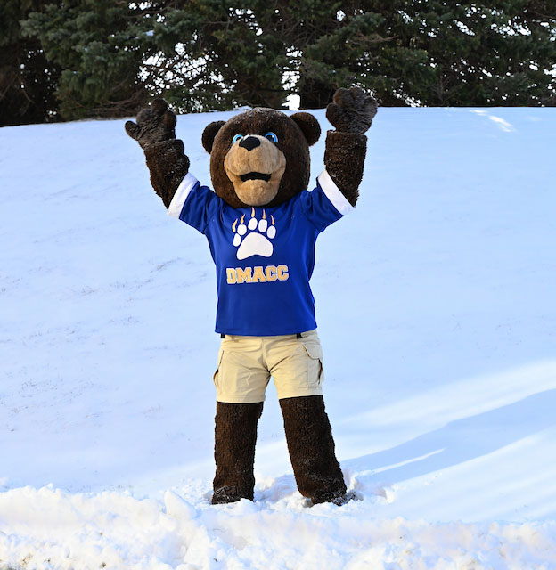 Winterim Bear Winterim Bear