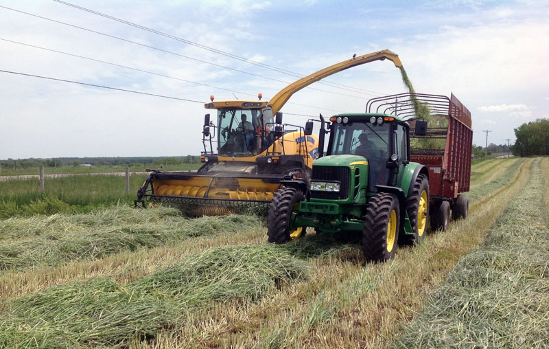 Farm Blog