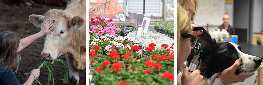 Future of Agriculture Scholarship Future of Agriculture Scholarship