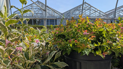 Horticulture Horticulture