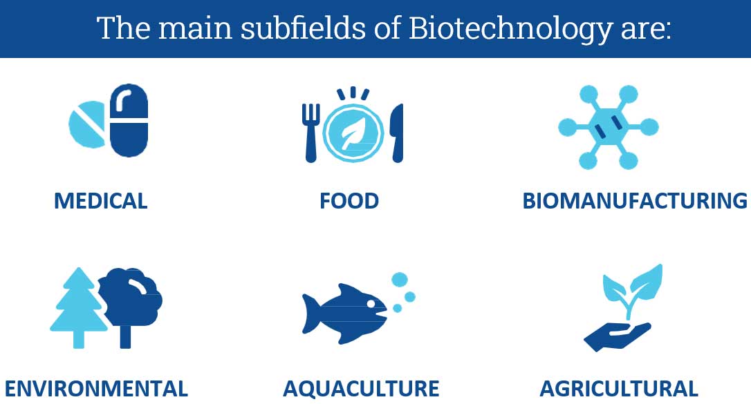 The main subfields of Biotechnology are: Medical, Food, Biomanufacturing, Environmental, Aquaculture, Agriculture